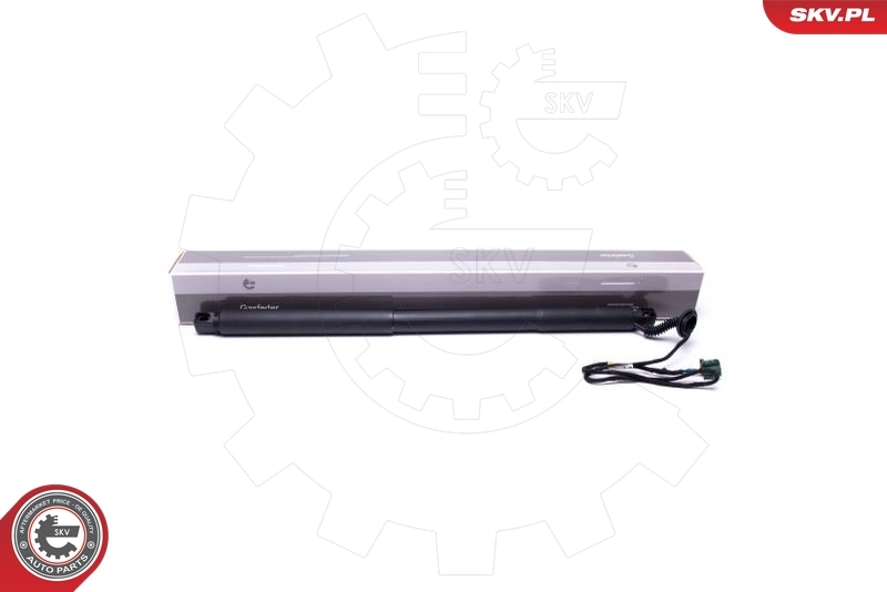 Electric Motor, tailgate